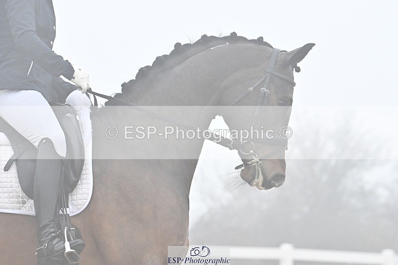 240217A-142846-03452 - 163-Anna.Johannson-Diamond.Bar