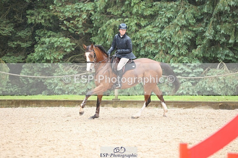 240705-162952-12494 - Cls 24 Foxhunter