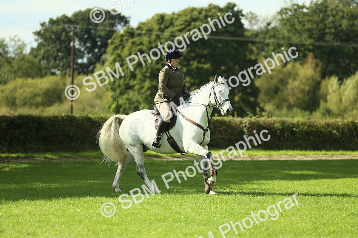 SBM_48060 - S32 - Novice & Newcomers Working Hunter