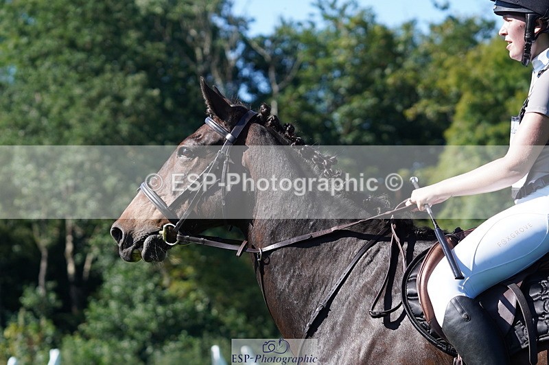 240811A-162932-06306 - 412-