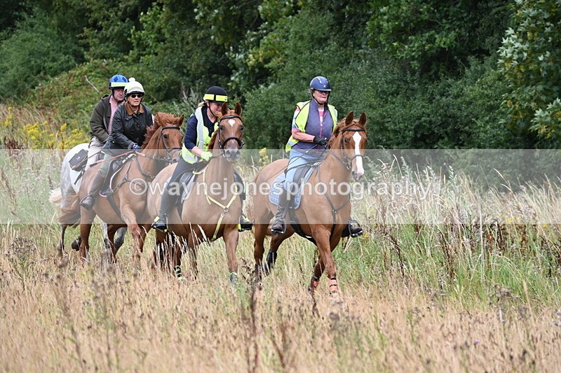 WJ6_2327 - Group 7
