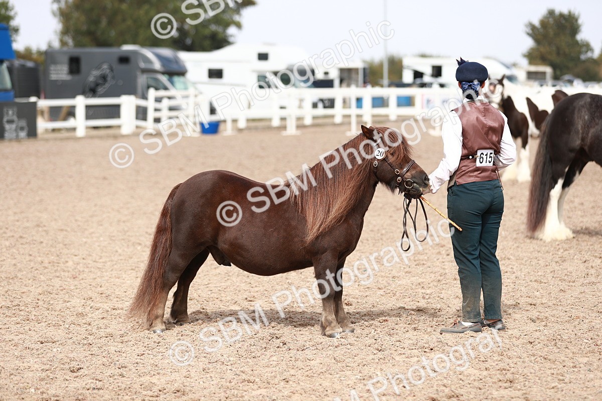 SBM_13925 - Class 209 IH Veteran Pony