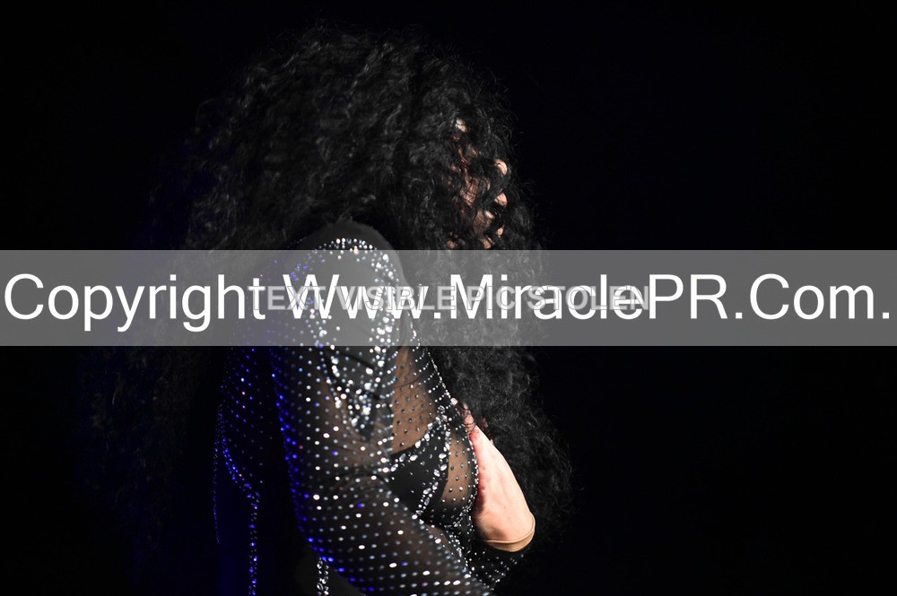 SH4_6366 - The Cher Experience