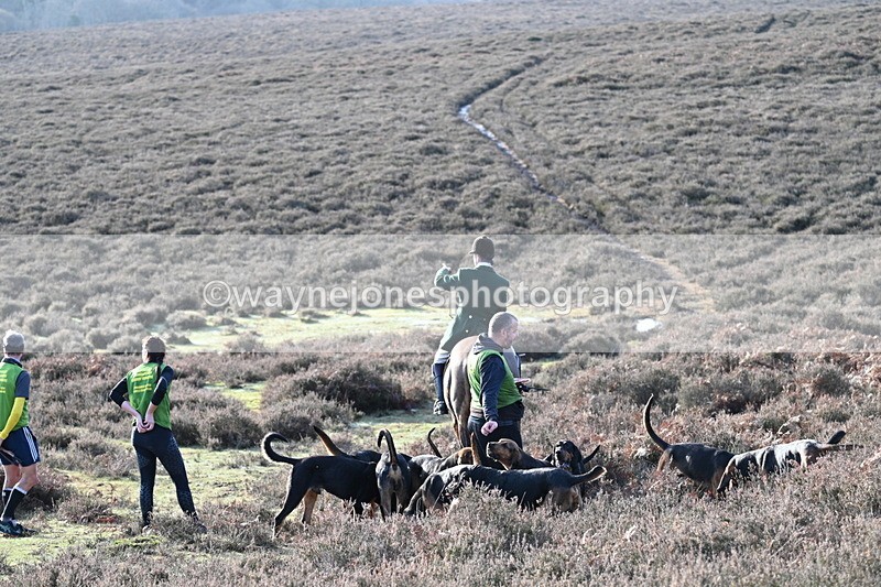 WJ7_8020 - Line 3 (no line 4 or 5)