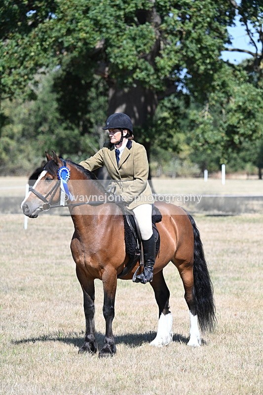 WJ7_4154 - Class 9 Mountain & Moorland Ridden