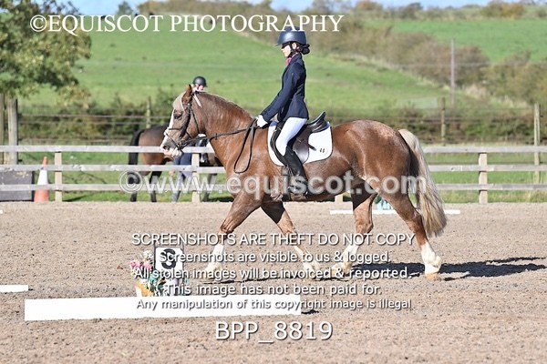 BPP_8819 - SHORT ARENA