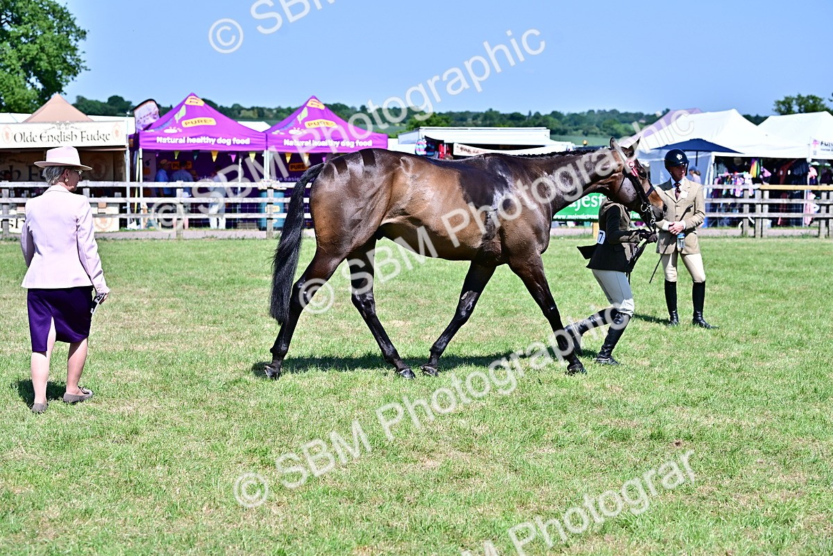 SBM_18240 - Class 99-100 - Retraining of Racehorses Ridden
