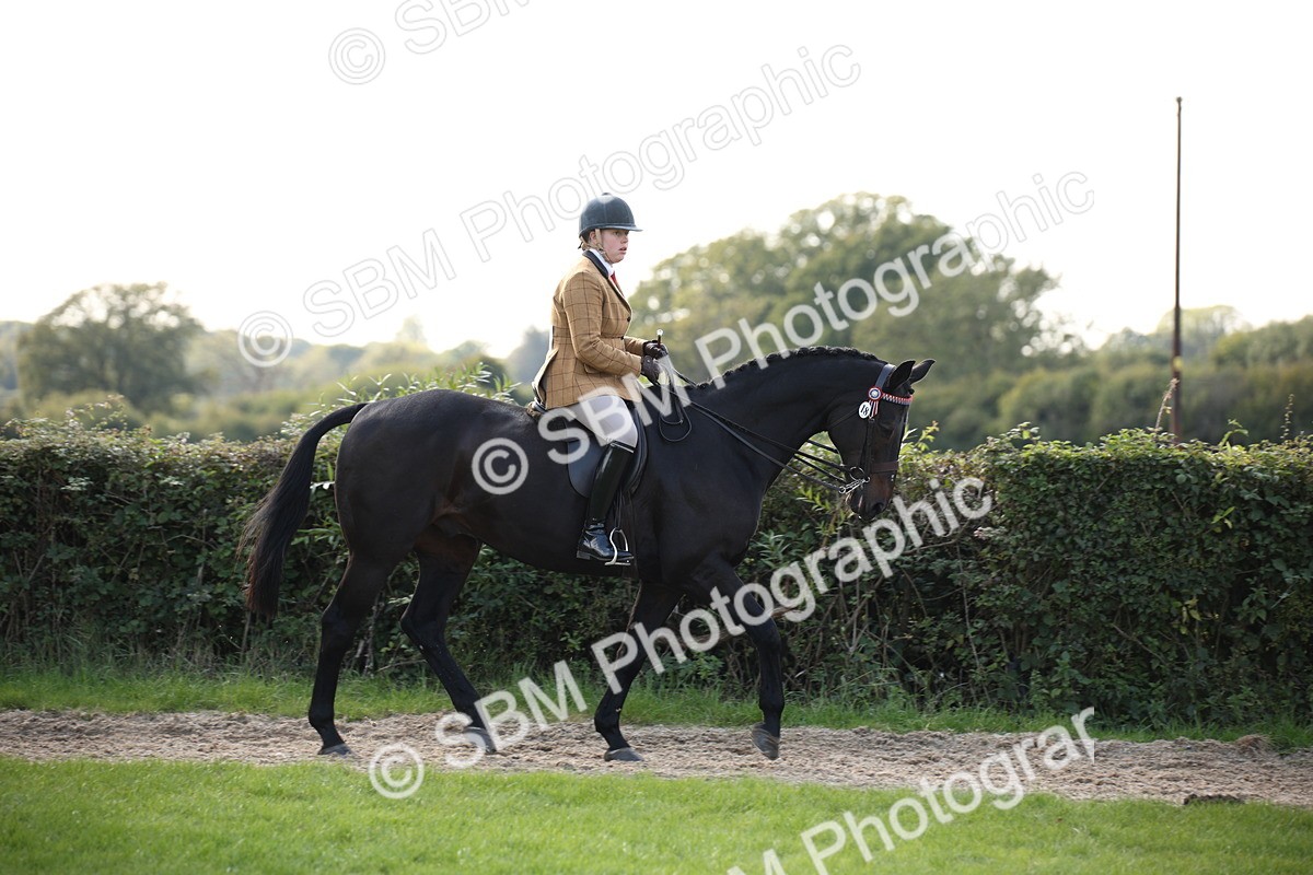 SBM_50105 - S26 - Young Veteran - Ridden