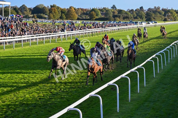121024-Race 7-Two Brothers-3588 - Race 7 5.05pm Coral Committed To Safer Gambling Finale Handicap