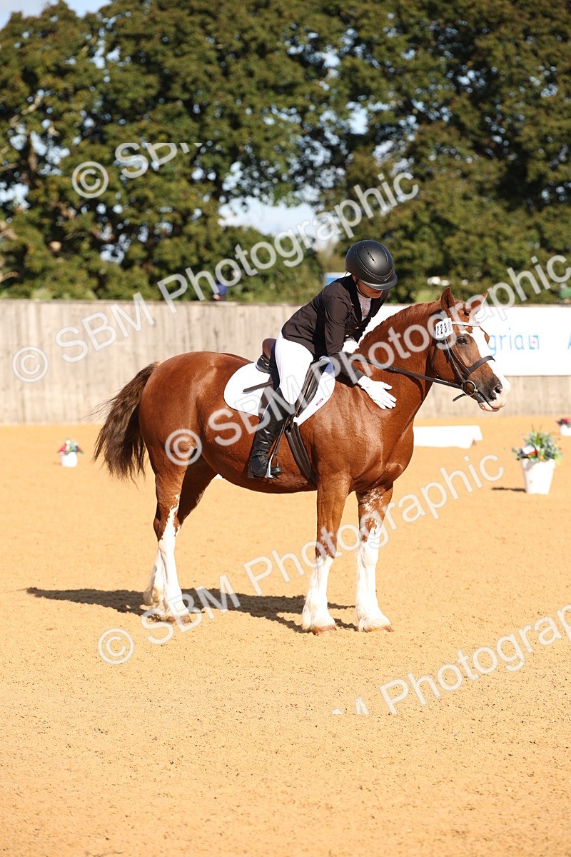 SBM_01920 - D2 Small Tour Championship Intro C