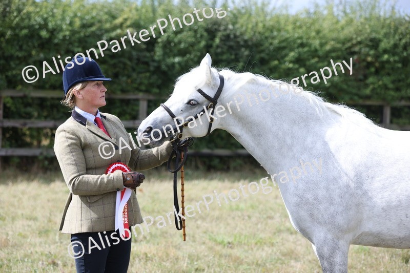 20250831-1685 - Class 22 - Mountain and Moorland Inhand