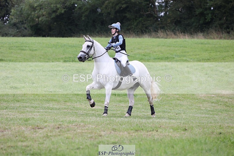 240831A-141922-03766 - 256-Tiarna.Falco-AUGHNAKEERAGH.DANNY