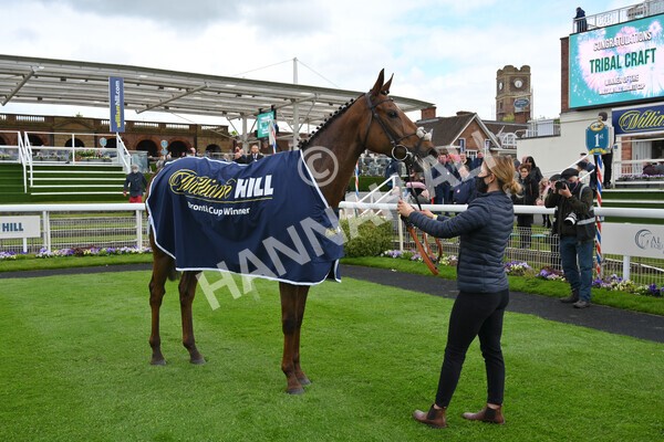 yr22052021r2-40 - Race 2 2.40pm William Hill Brontë Cup