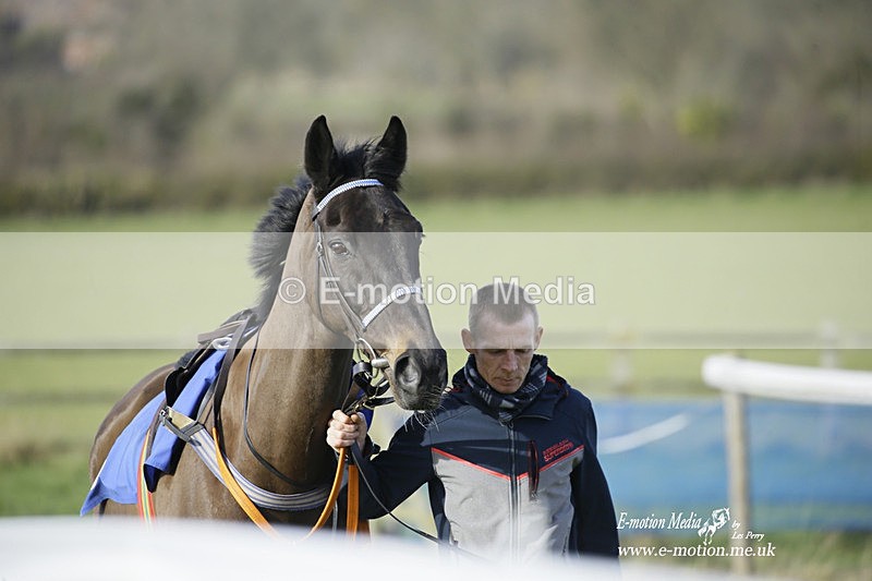 PtP 260222 532 - Kingston Blount Racing Club Point-to-Point 26/02/22
