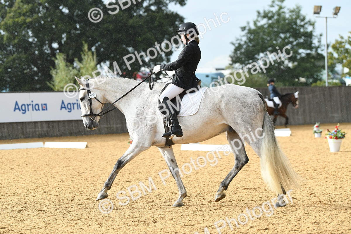 SBM_11155 - D28 Elementary Taster Elementary 42