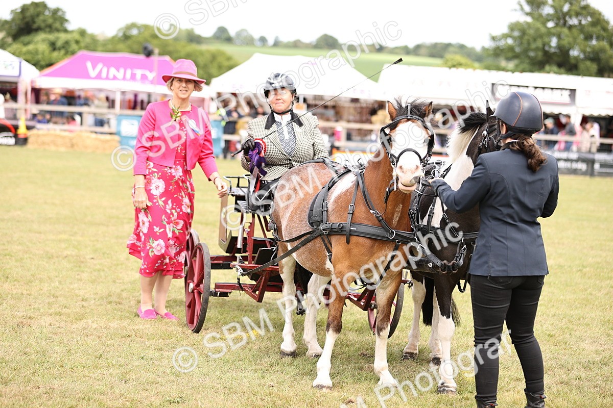 SBM_16122 - Class 91 - Scurry  exceeding 122cms