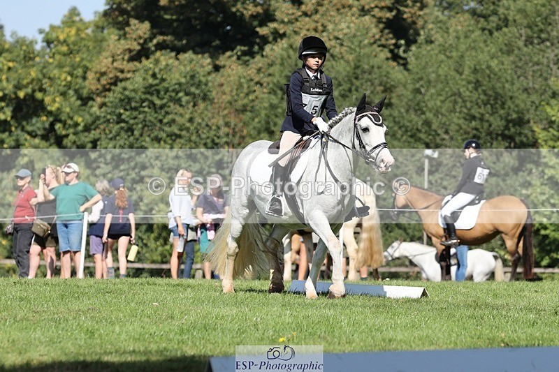 250823A-105654-27840 - Arena D