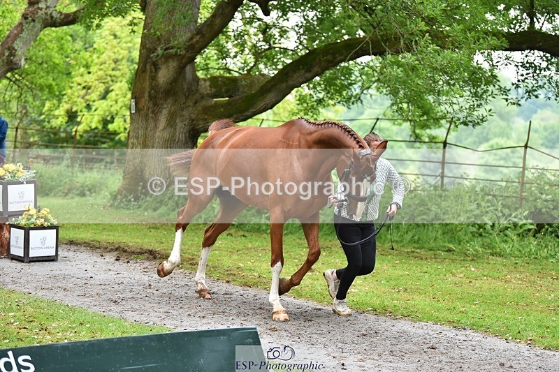 240522-172808-01630 - 289-JUST_A_JOLLY-Flora_Harris