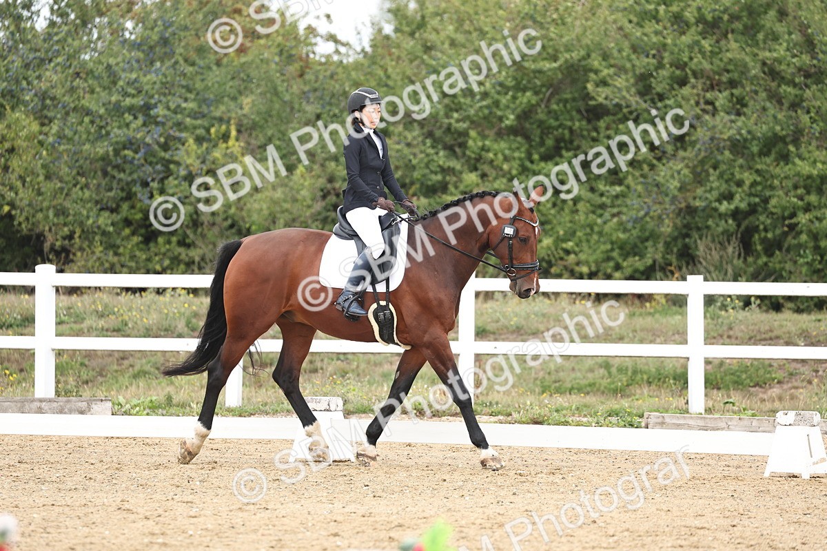 SBM_002529 - Class 7 - Novice 2 Warm Up