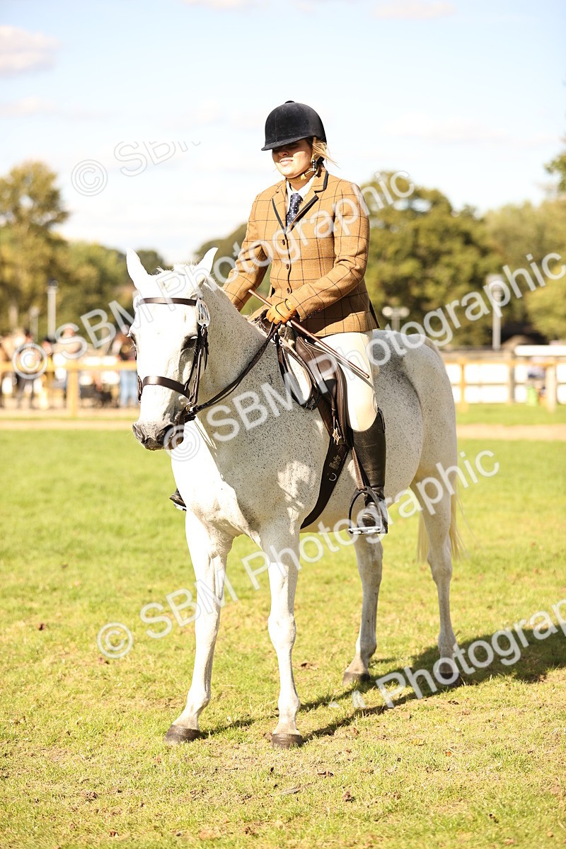 SBM_26401 - S6 - Novice & Newcomers Ridden Horse