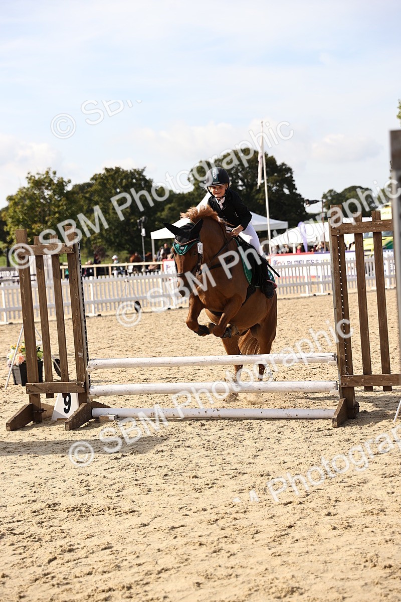 SBM_61889 - J12 - Junior Pony 55cm Championship