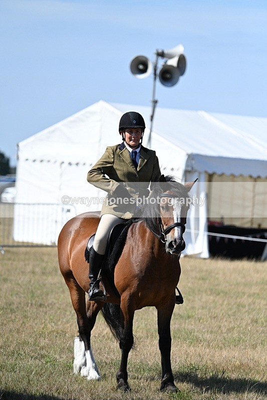 WJ7_3622 - Class 9 Mountain & Moorland Ridden