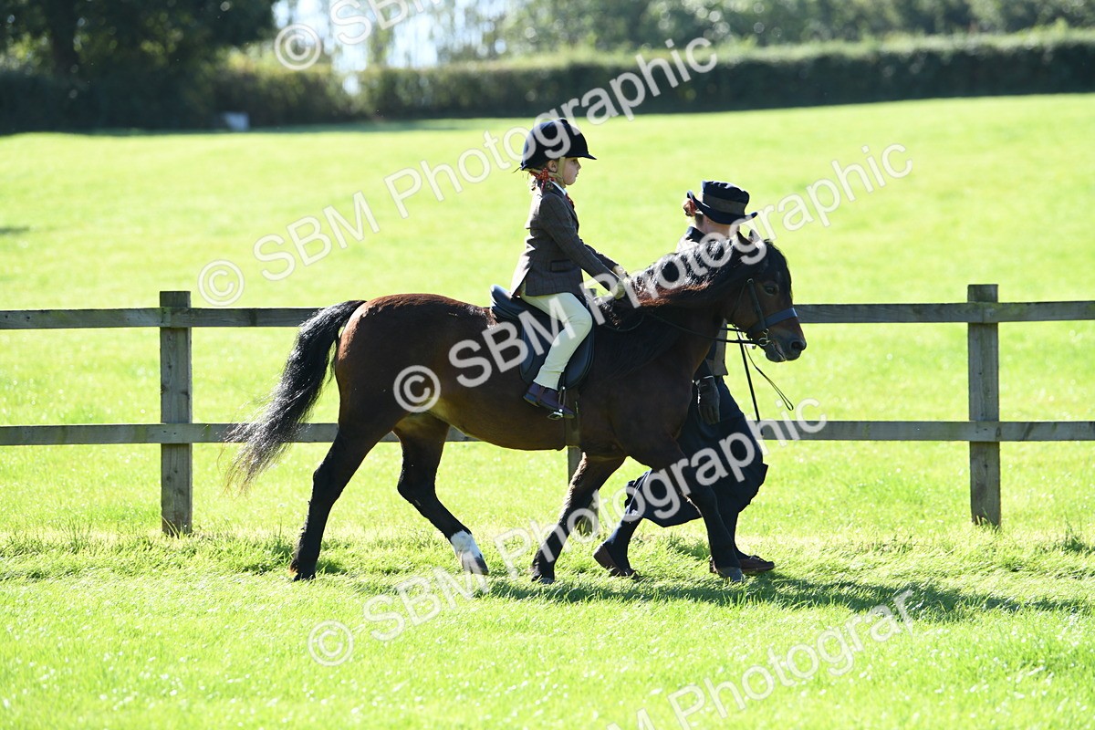 SBM_39555 - S18 - Novice & Newcomers Lead Rein Pony