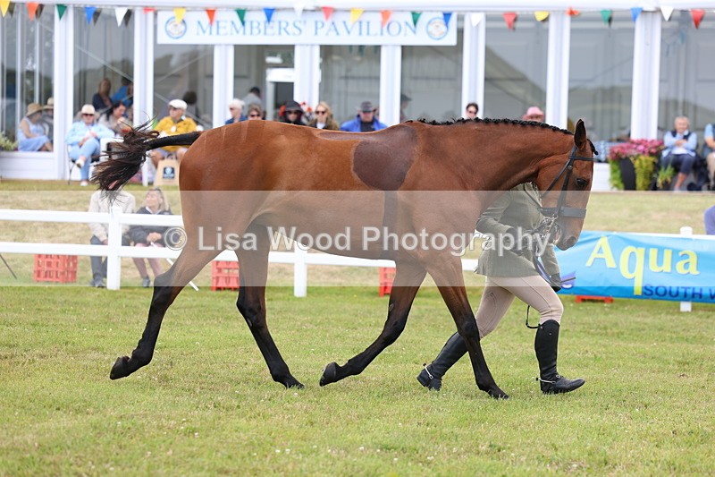 3E7A1769 - Class 9: Open Hunter