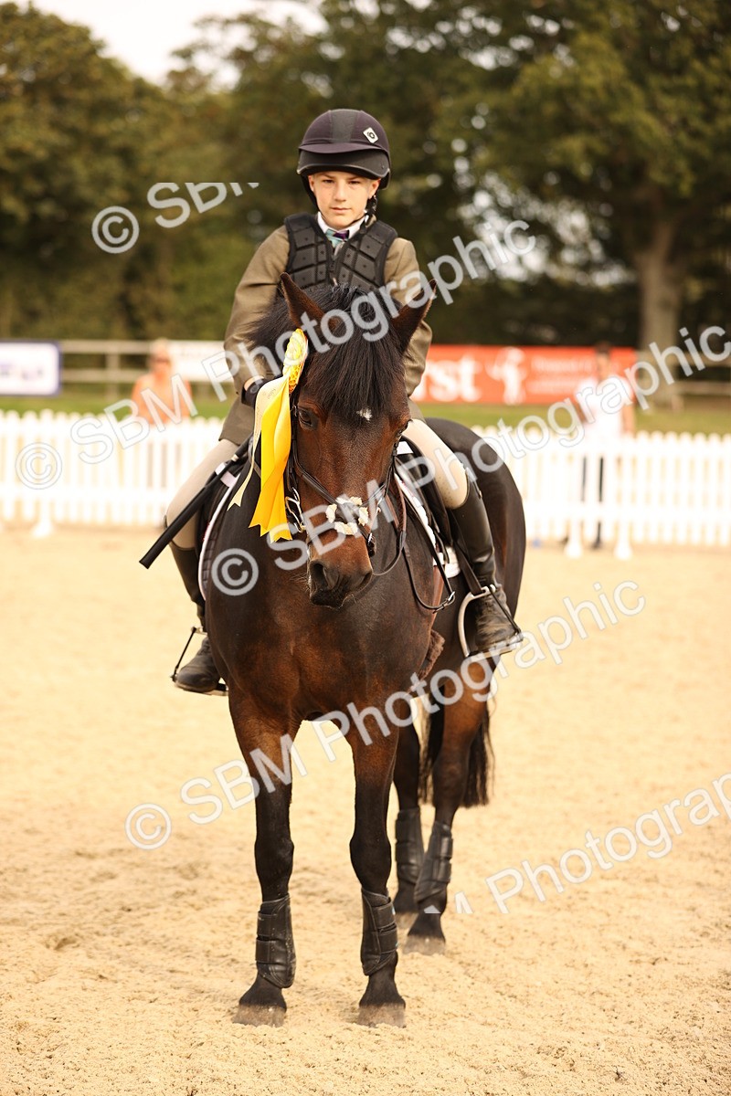 SBM_70843 - J13 - Junior Pony 60cm Championship