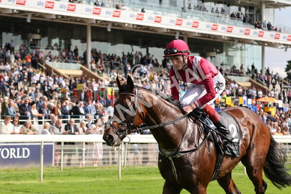 yr18082021r4-116 - Race 4 3.35pm Juddmonte International Stakes (British Champion Series race)