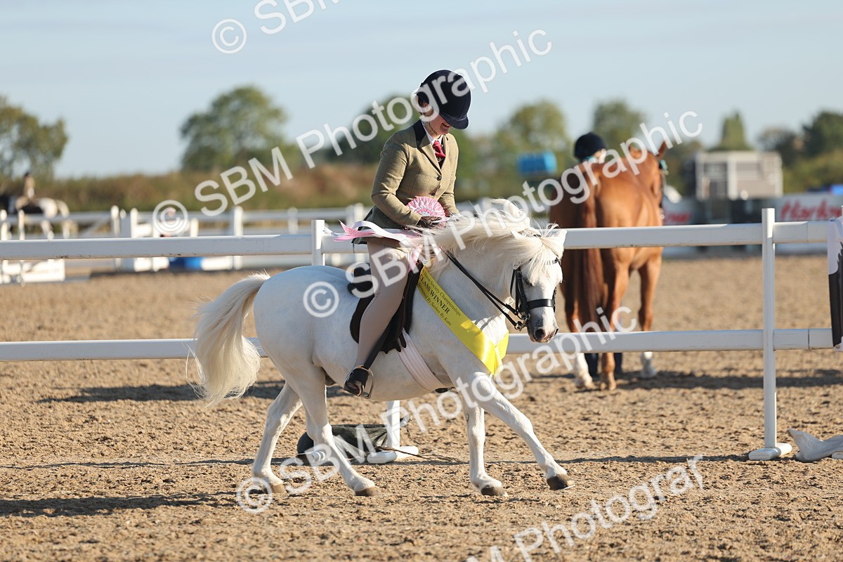 SBM_10942 - Class 301 - Ridden M&M Small Breeds