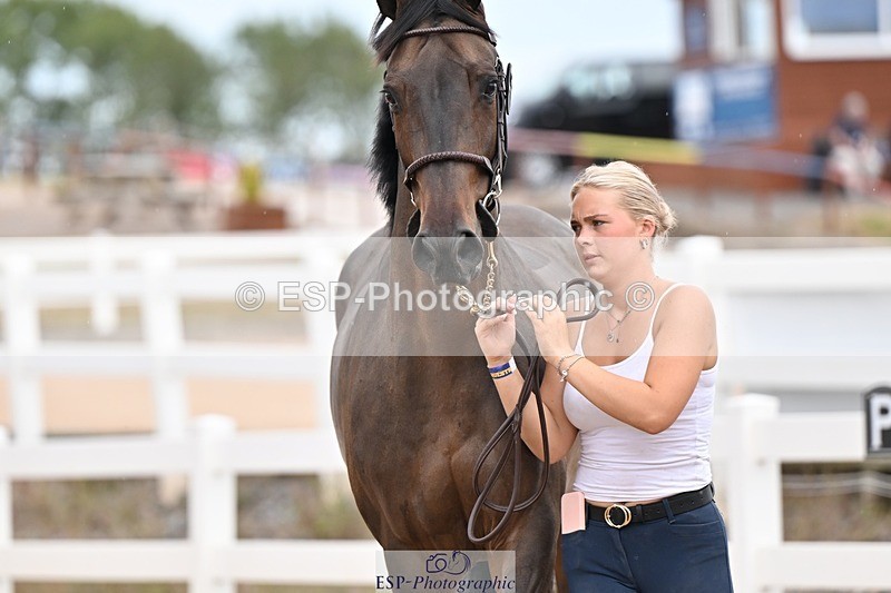 250716-161031-02489 - Trot Up 3.30 to 4.30