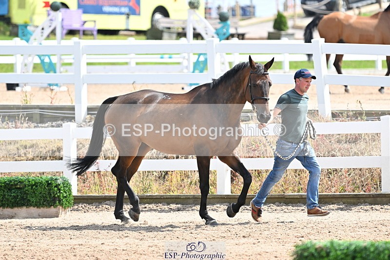 240717A-150133-02458 - Trot Up 3pm to 4pm