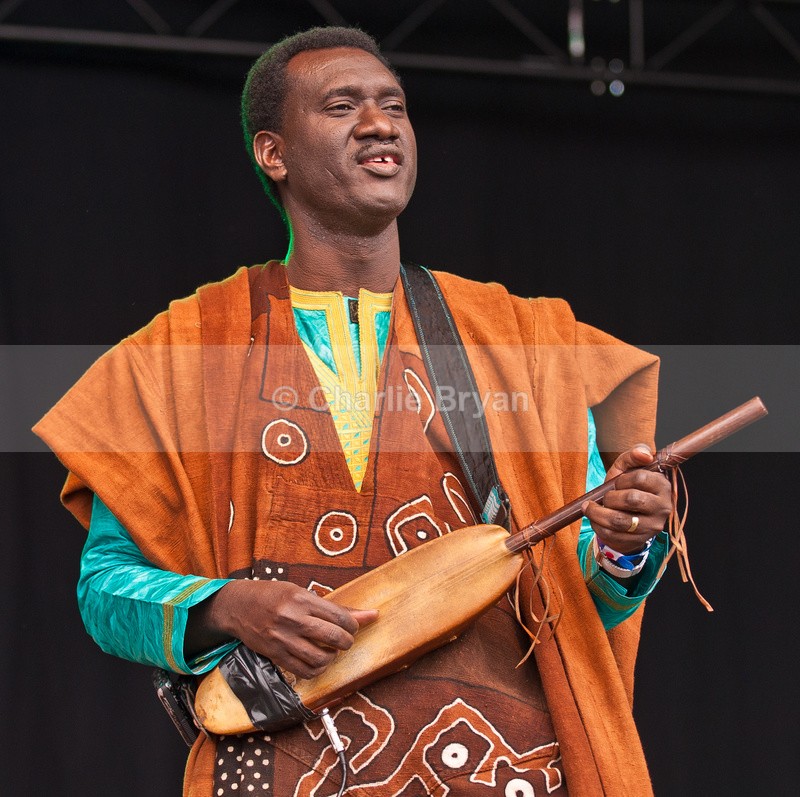 Bassekou Kouyate - Wychwood Festival 2015