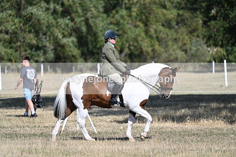 WJ7_3118 - Class 8 Ridden Tack & Turnout