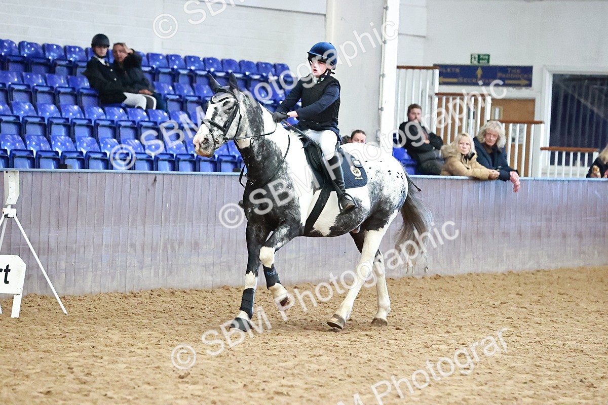 SBM_001276 - Class 4 - Show Jumping 70cm
