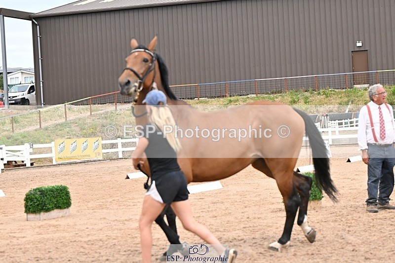 250716-161553-02536 - Trot Up 3.30 to 4.30