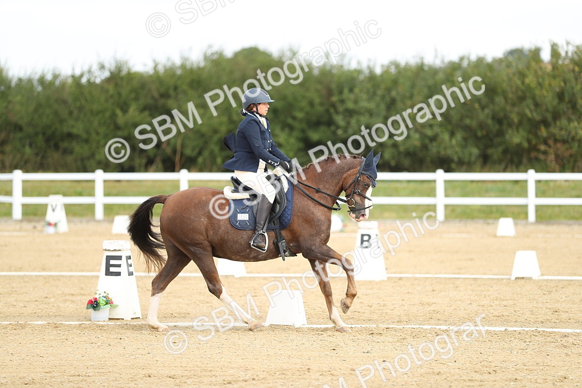 SBM_016305 - Class 13 - Novice 23 - 11.25-12.35