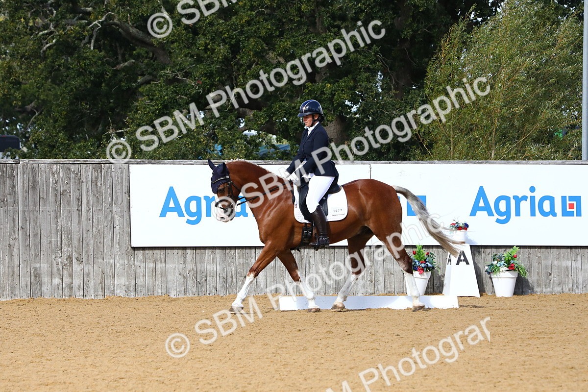 SBM_18287 - D31 - Grand Tour PYO Open .