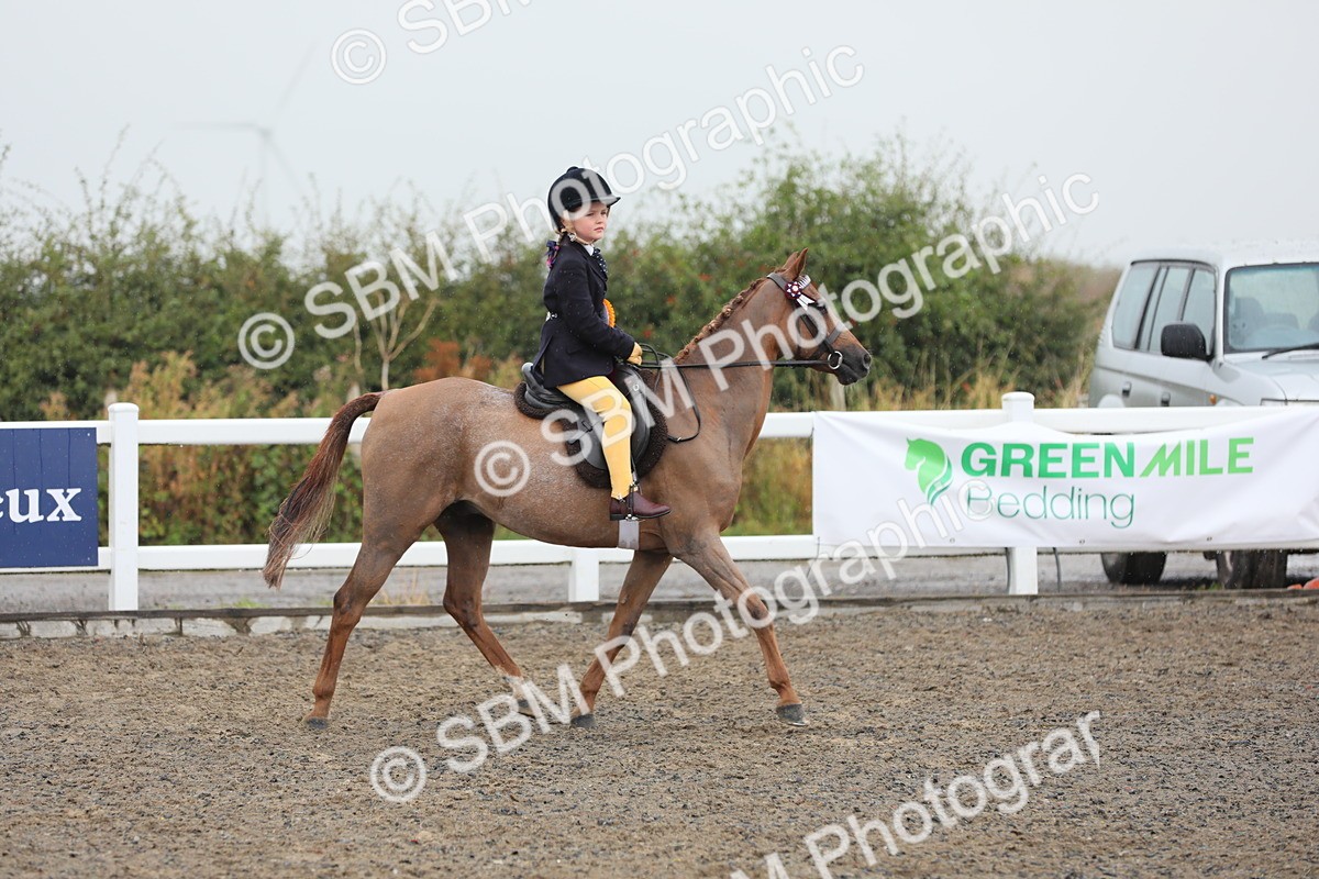 SBM_20656 - Class 804 - Ridden Veteran Pony