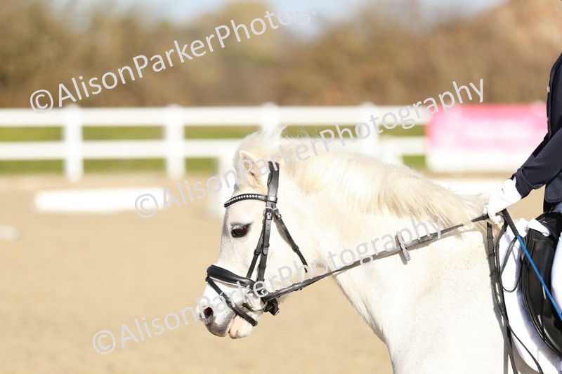 20260314-4516 - DR4 - Prelim 2