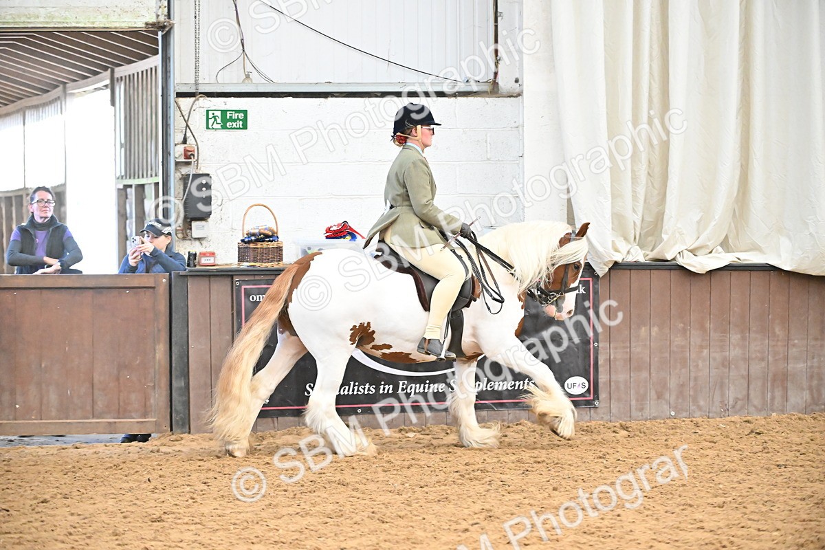 SBM_002636 - Class 28,29 - Ridden Irish & Coloured