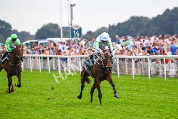 100923-Race 3-Yorkindness-0644 - Race 3 2.45pm Fine Details Vehicle Valeting Handicap