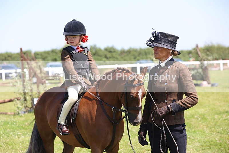 JPP_2283 - Class 20: Tiny Tots Working Hunter Pony