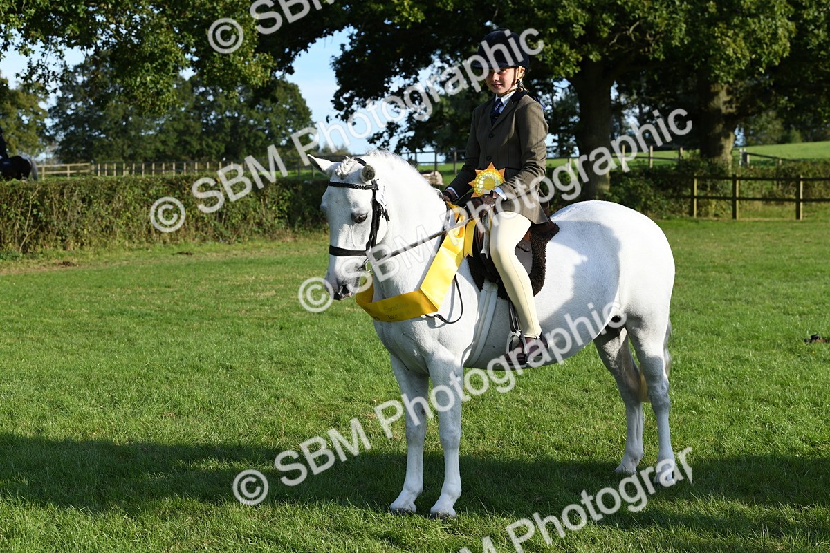 SBM_52432 - S22 - 1st Ridden Show & Show Hunter Pony