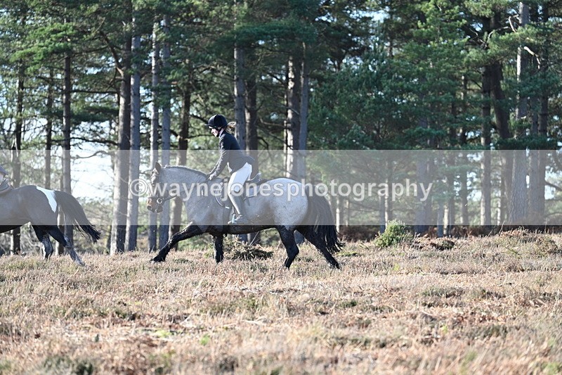 WJ7_7094 - Line 3 (no line 4 or 5)