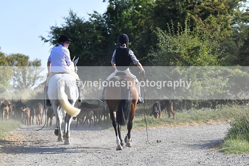 WJ5_4834 - Walk out with the hounds
