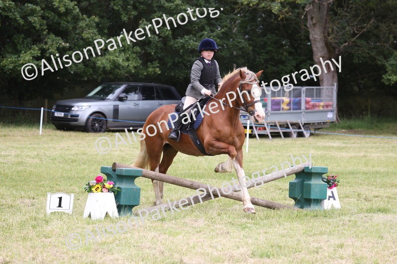 20260614-3080 - Class 22 - Open Working Hunter