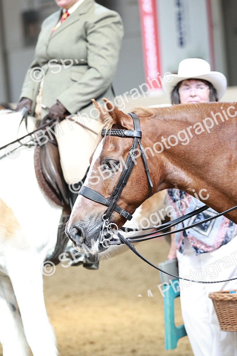 SBM_07053 - Class 10R - Regional Ridden Diamond