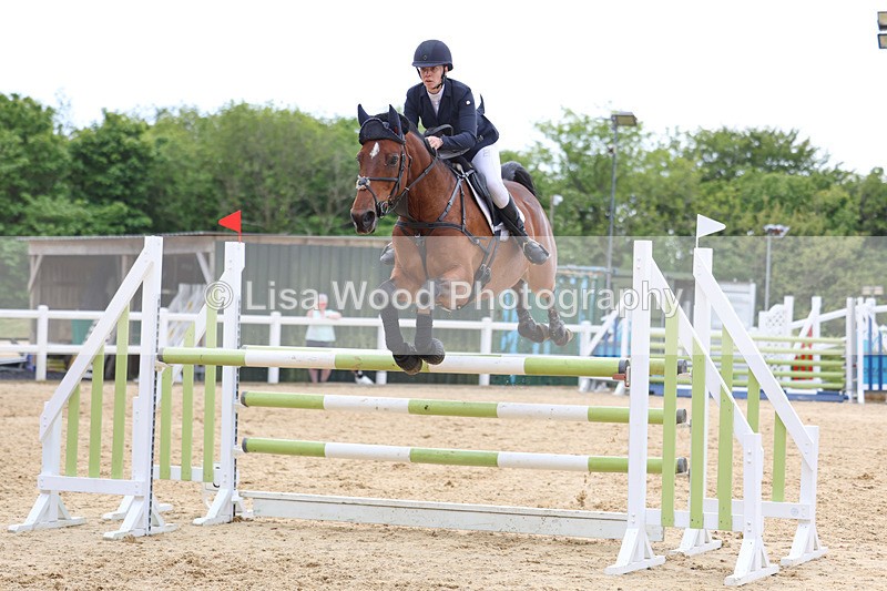 3E7A7609 - Class 8: Senior Foxhunter/1.20 open